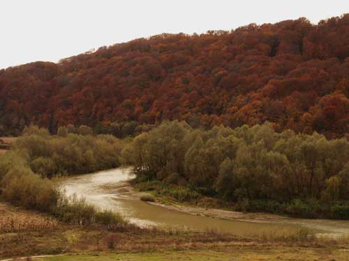 Foto Lapusul ocolind insula din Razoare (c) Petru Goja